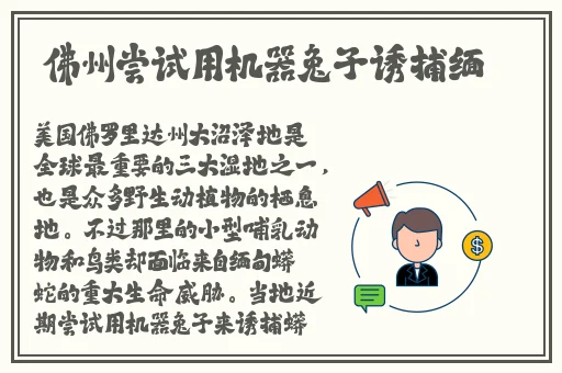 国产1卡2卡